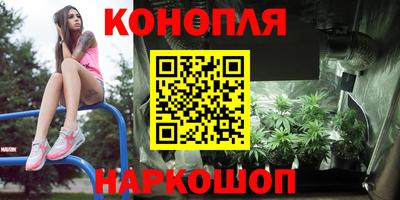 спиды Ярославль